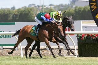 Bonneval (NZ) Claims Sir Tristram Fillies’ Classic. Photo: Trish Dunell.